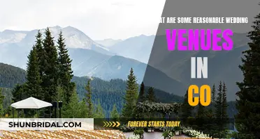 Affordable Wedding Venues in Colorado