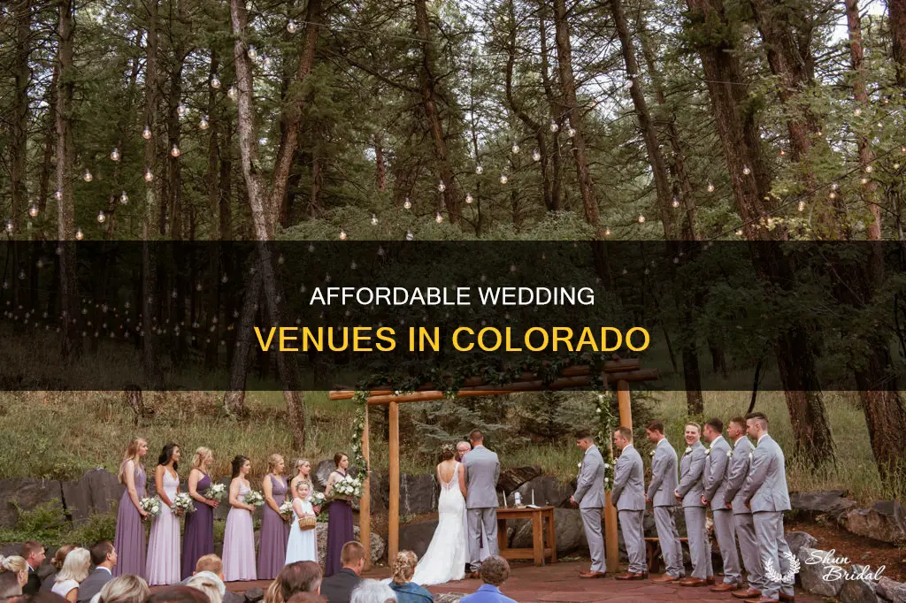 what are some reasonable wedding venues in co
