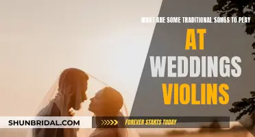 Violin Wedding Songs: Traditional Tunes for Your Big Day