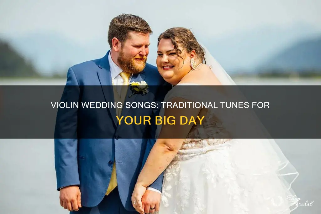 what are some traditional songs to play at weddings violins