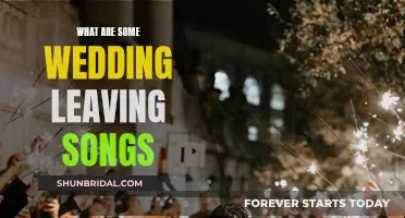 Leaving Songs for Weddings: Emotional Tunes for Farewells