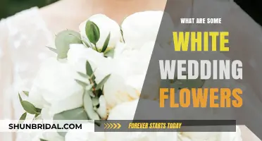 White Wedding Flowers: Pure and Timeless Choices