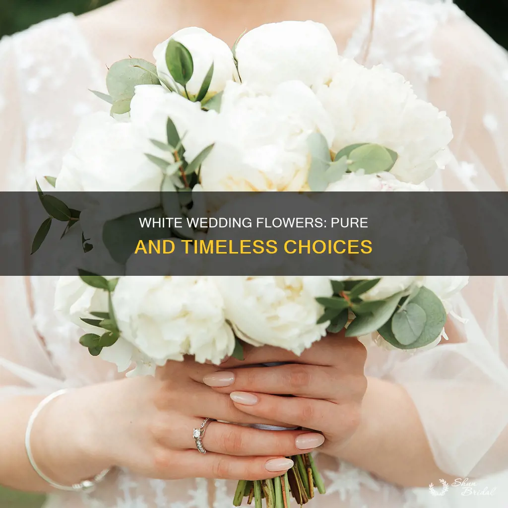 what are some white wedding flowers