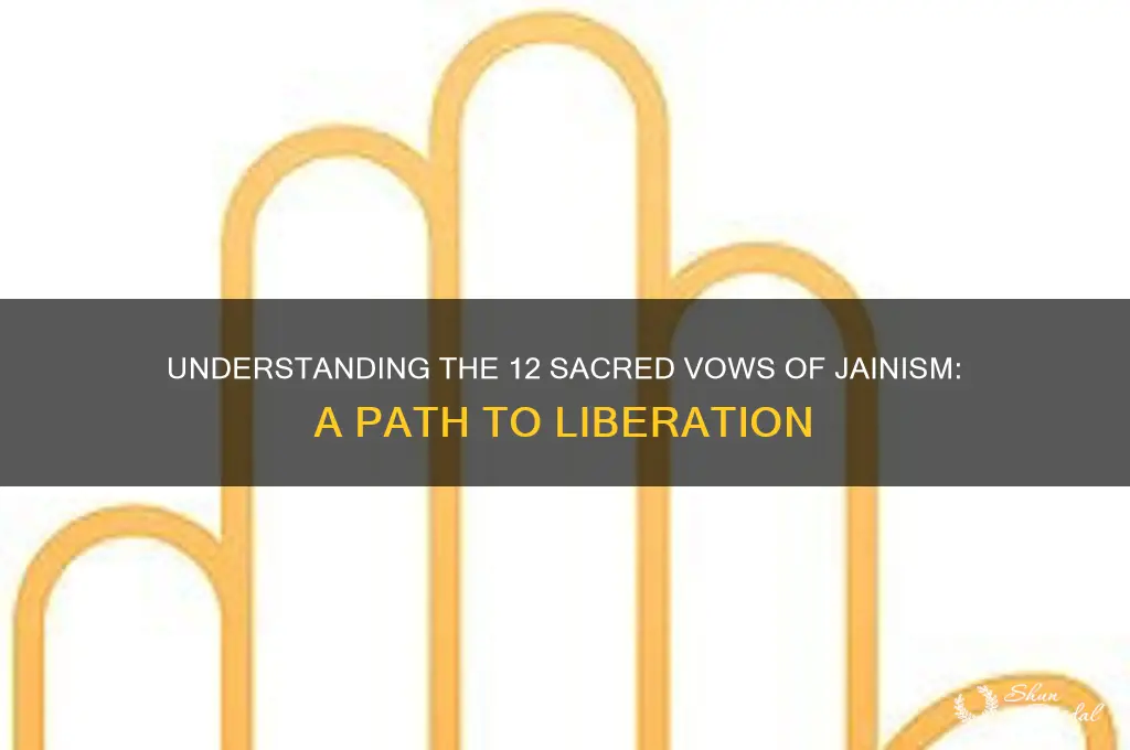 what are the 12 vows of jainism