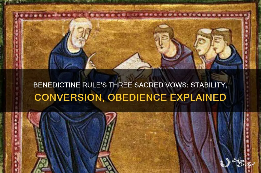 what are the 3 vows of the benedictine rule
