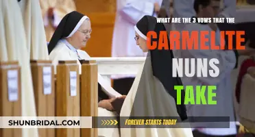Carmelite Nuns' Sacred Commitments: Exploring Their Three Solemn Vows