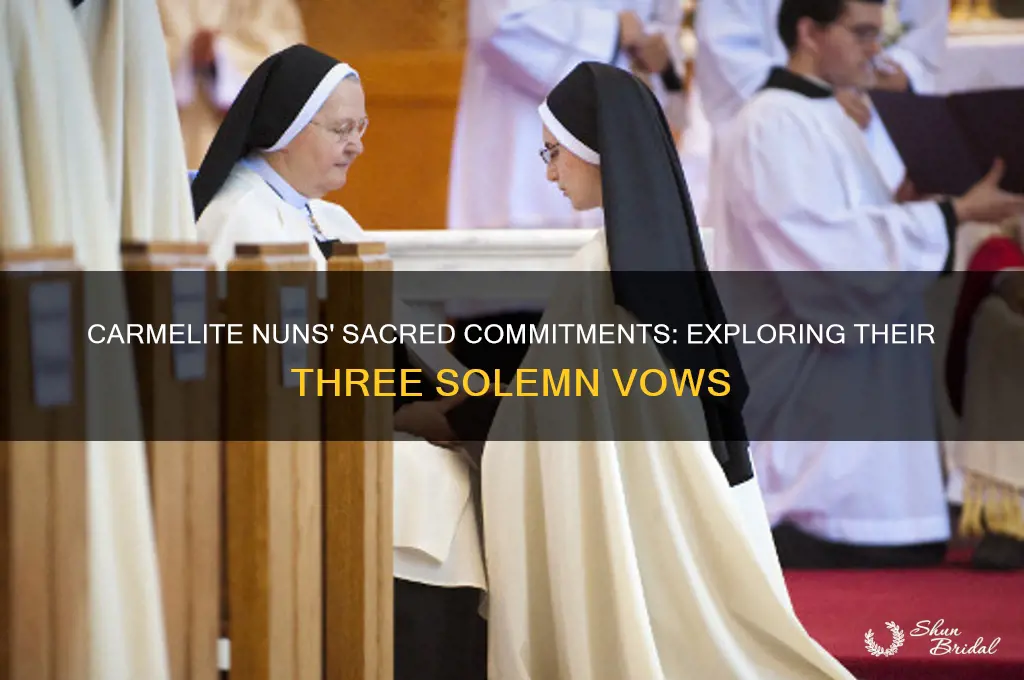 what are the 3 vows that the carmelite nuns take