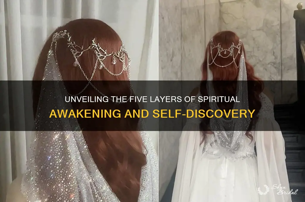 what are the 5 veils