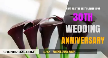 Celebrate 30 Years of Love with These Stunning Anniversary Flowers