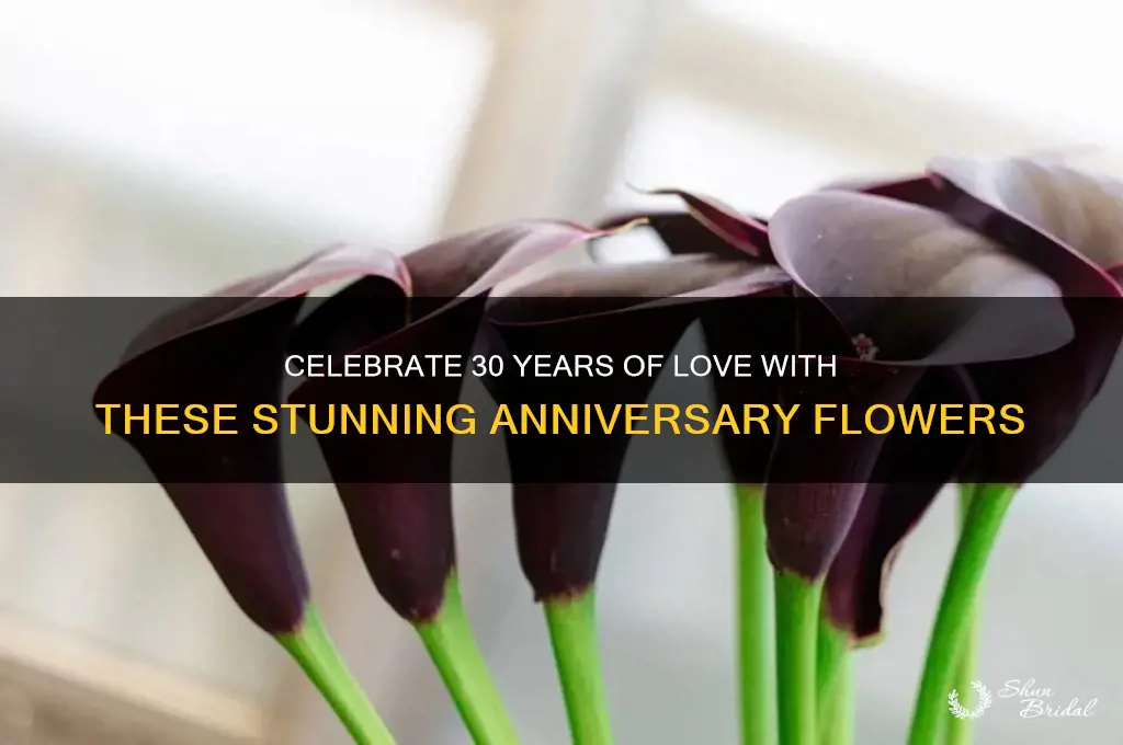 what are the best flowers for 30th wedding anniversary