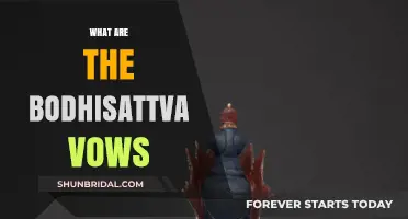 Understanding the Bodhisattva Vows: A Path to Compassion and Awakening