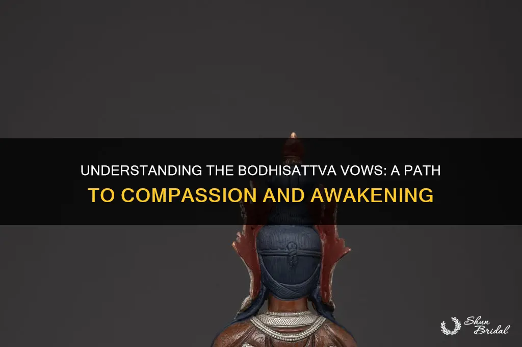 what are the bodhisattva vows
