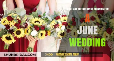 Cheap June Wedding Flowers: Seasonal Blooms on a Budget