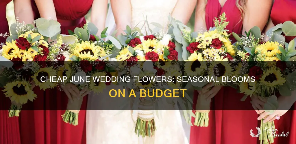 what are the cheapest flowers for a june wedding