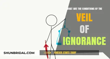 Understanding the Veil of Ignorance: Key Conditions Explained
