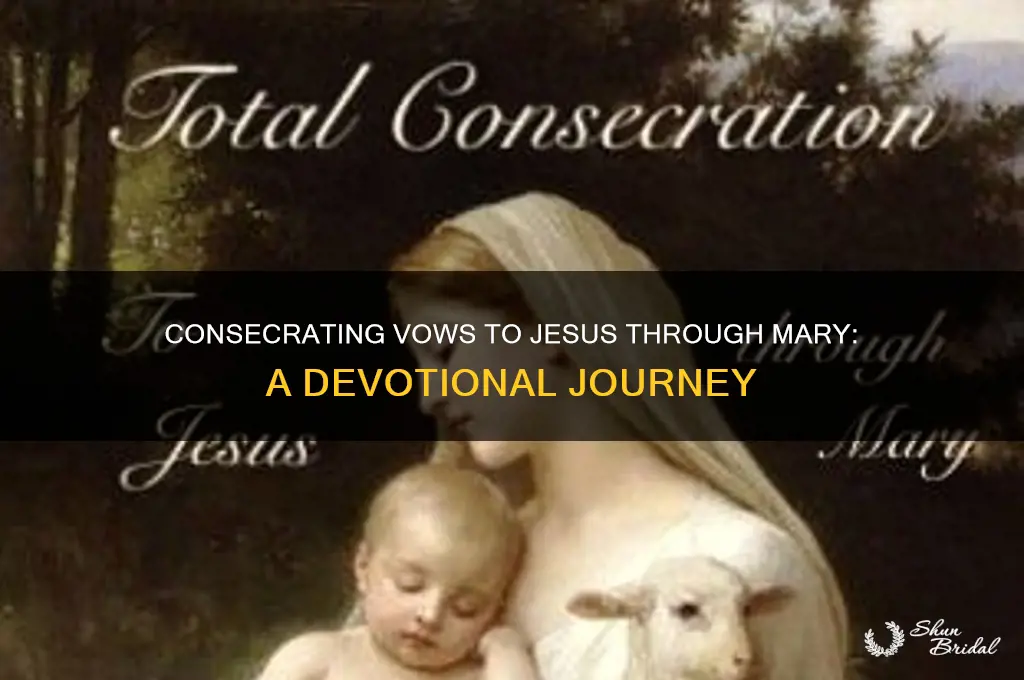 what are the consecrating vows to jesus through mary