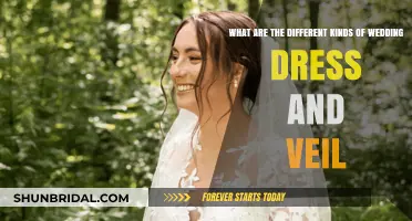 Explore Wedding Dress Styles and Veil Pairings for Your Big Day