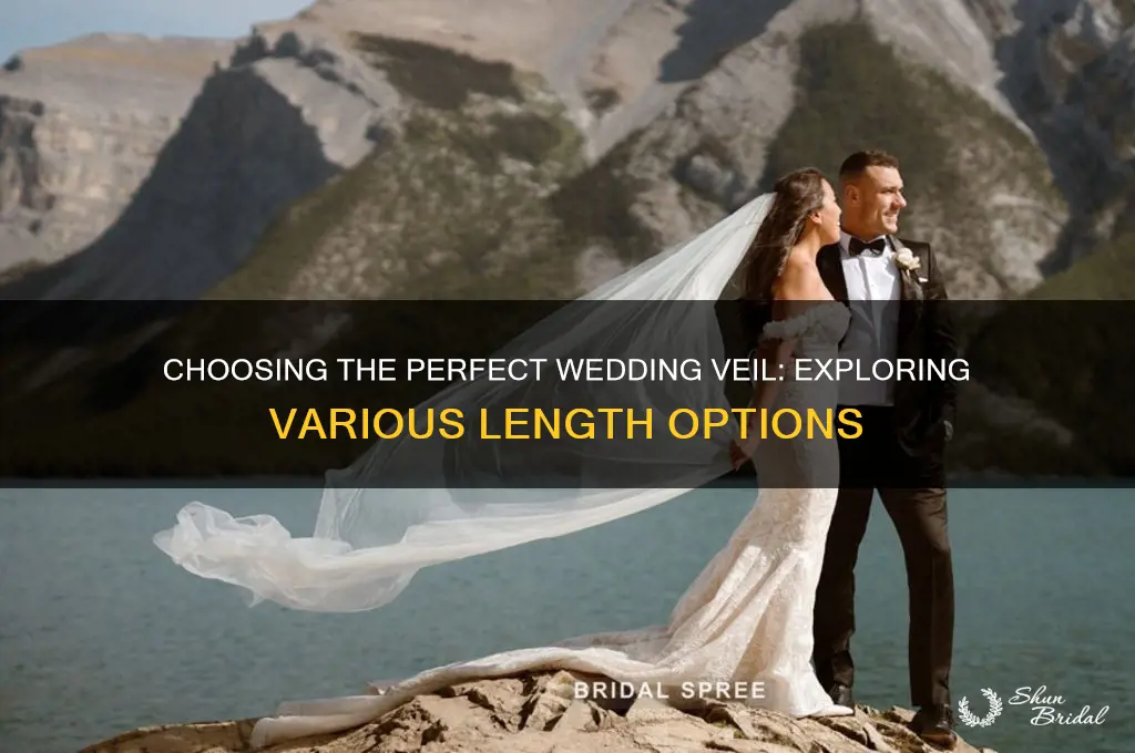 what are the different lengths of wedding veils