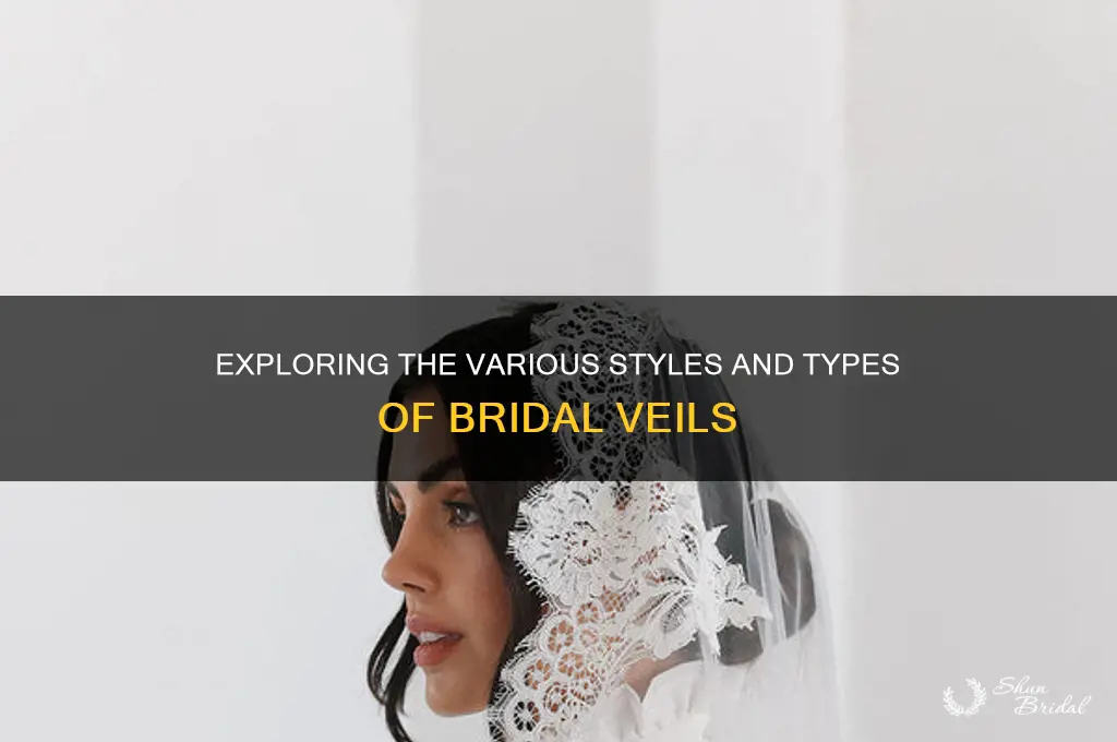 what are the different types of veils
