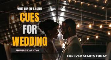 DJ Song Cues: Wedding Edition