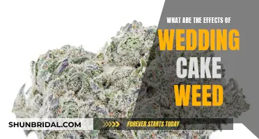 Exploring Wedding Cake Weed: Effects and More