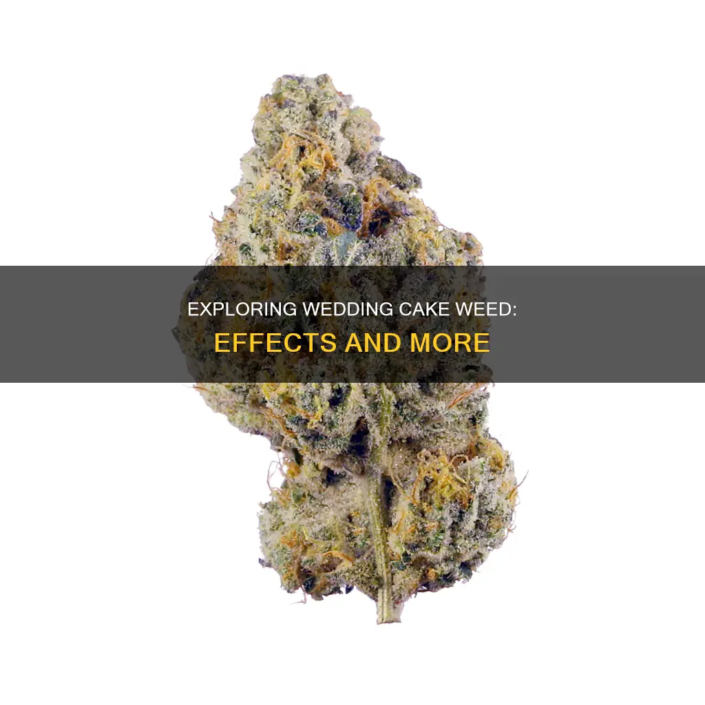 what are the effects of wedding cake weed