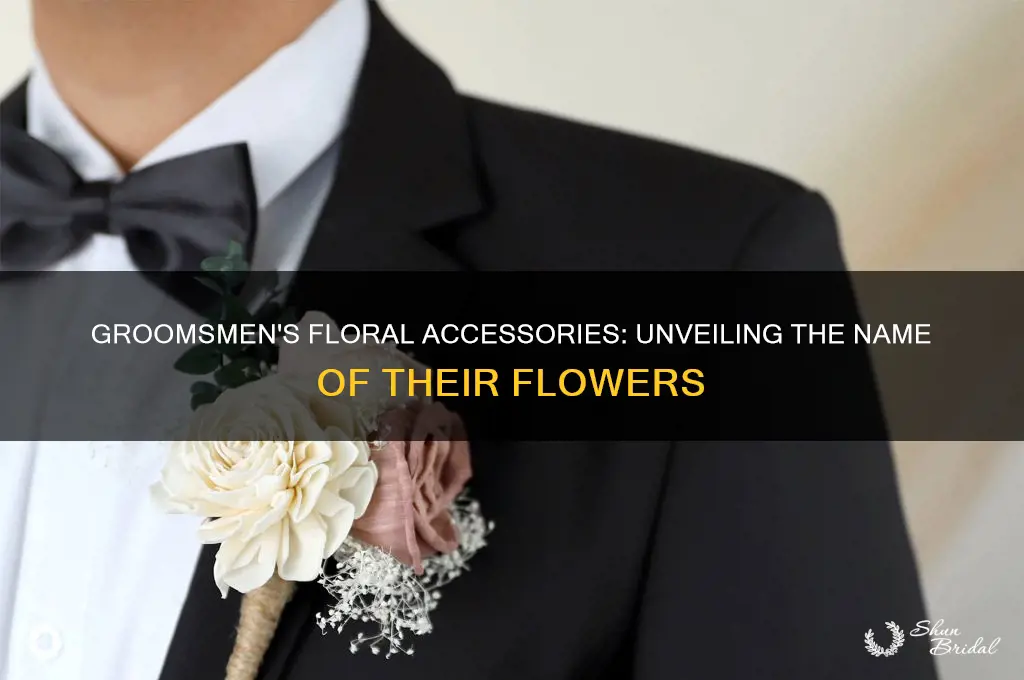 what are the flowers on groomsmen called