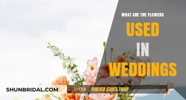 Popular Flowers for Wedding Bouquets and Decor