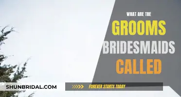 Grooms' Entourage: Who Are the Bridesmaids' Male Counterparts?