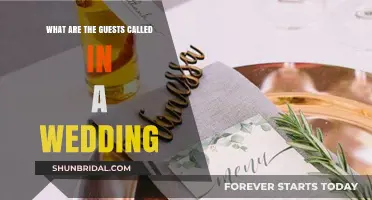 Understanding Wedding Guest Titles: Who’s Who at the Celebration