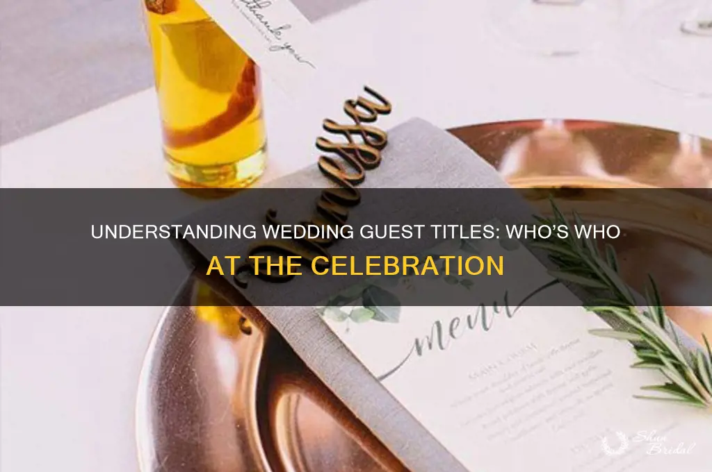 what are the guests called in a wedding