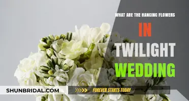 Twilight Wedding: Hanging Flowers and Their Meanings