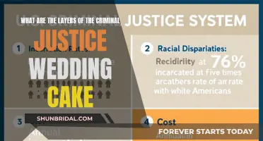 Exploring the Criminal Justice System's Multi-Tiered Structure