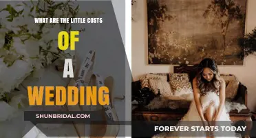 Hidden Wedding Expenses: Uncovering the Small Costs That Add Up Fast