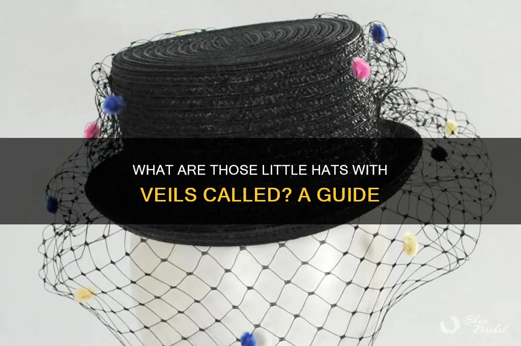 what are the little hats with veils called