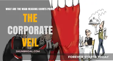 Why Courts Pierce the Corporate Veil: Key Legal Reasons Explained