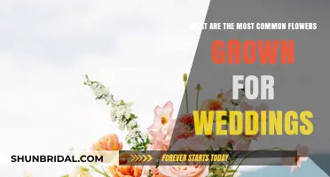 Wedding Flowers: Popular Picks for Your Big Day