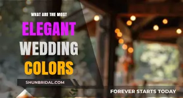 Timeless Elegance: Discover the Most Sophisticated Wedding Color Palettes