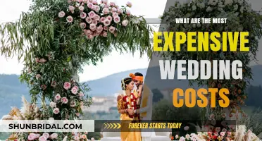 Sky-High Wedding Expenses: Unveiling the Priciest Costs for Your Big Day