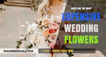 Costly Wedding Flowers: Which Ones?
