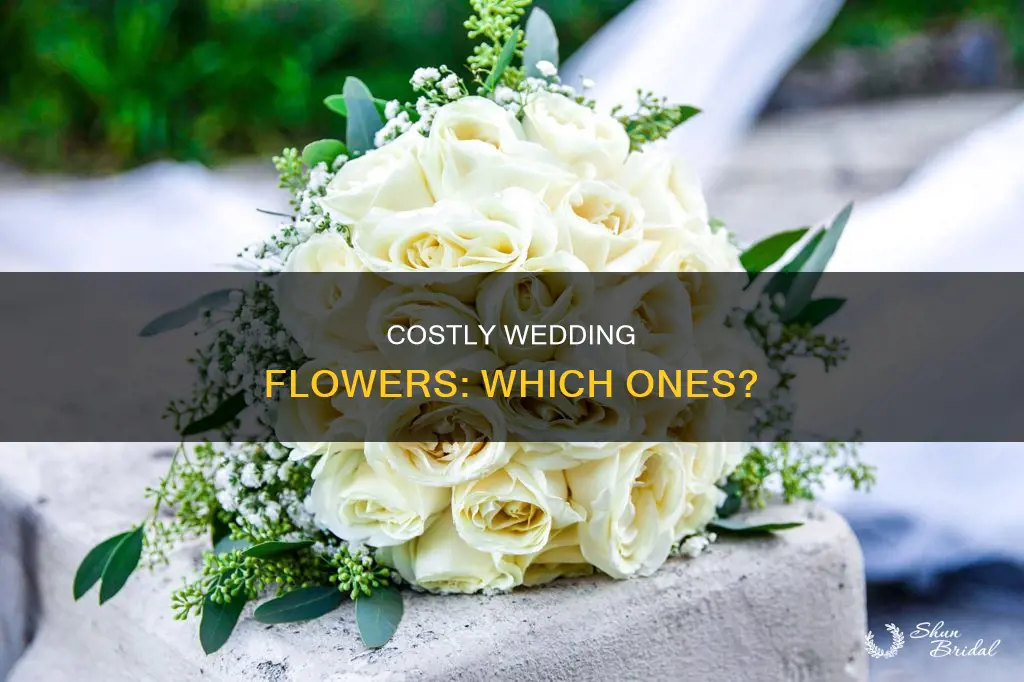 what are the most expensive wedding flowers