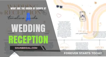 Wedding Reception Order of Events: A Step-by-Step Guide