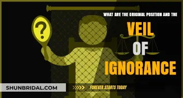 Understanding Rawls' Original Position and Veil of Ignorance Concept