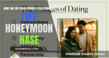 Beyond the Honeymoon: Exploring Other Phases of Relationships