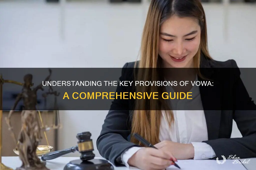 what are the provisions of vowa