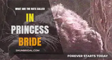 The Rodent Characters in The Princess Bride: A Charming Bunch