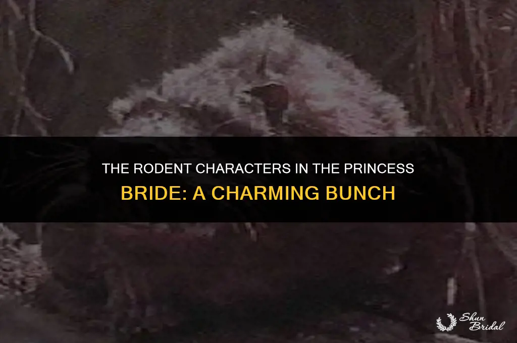 what are the rats called in princess bride