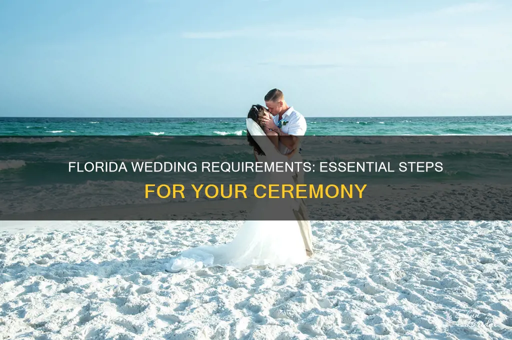 what are the requirements for a wedding ceremony in Florida