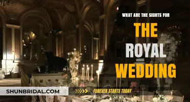 Royal Wedding Highlights: Must-See Sights and Celebrations to Witness