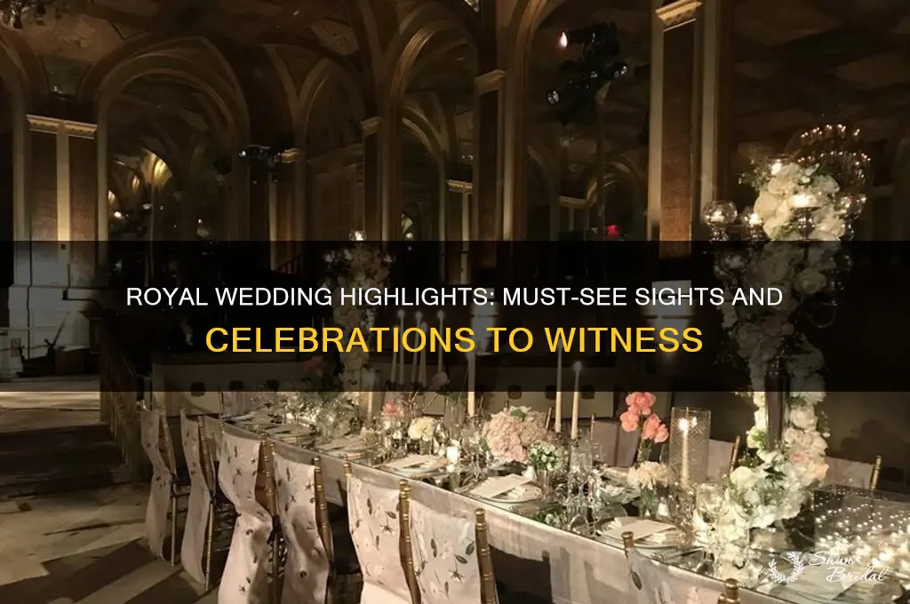 what are the sights for the royal wedding